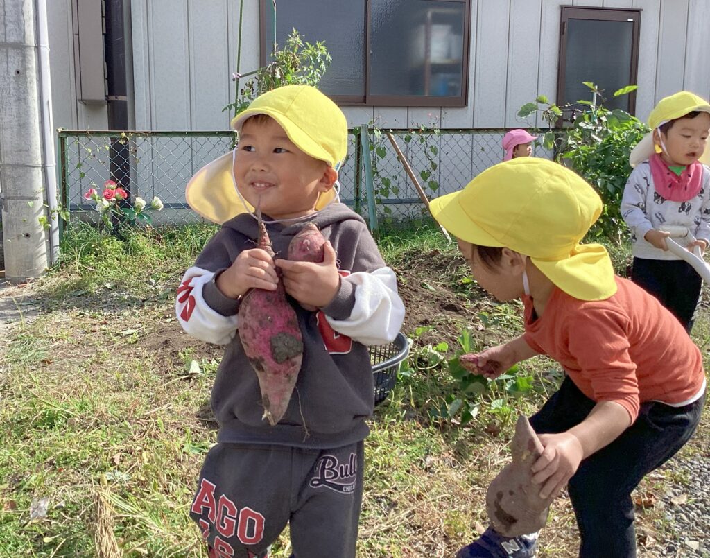 タイムカプセル保育園でのいもほり。掘りたてのさつまいもを持ち、達成感にあふれる園児の笑顔。