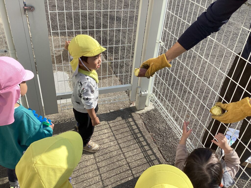 兵庫県丹波市氷上のタイムカプセル保育園で開催された焼き芋大会。冬の寒空の下、保育士が焼き上げたホカホカのお芋を期待に満ちた表情で見つめる子どもたち