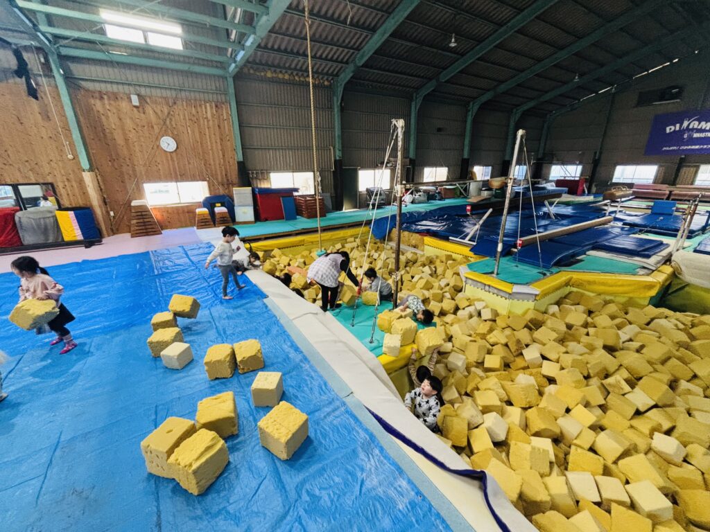 兵庫県丹波市のディナモ体操クラブ体育館で、タイムカプセル保育園の子どもたちがスポンジプールの大掃除をしている様子。広い体育館内で、多くの子どもたちが協力して黄色いブロック状のスポンジを運び出している。